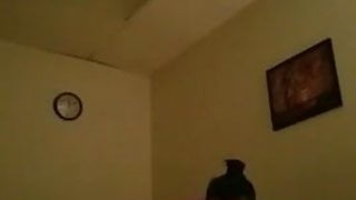 Asian Massage Parlour