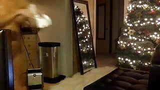 Stunning Asian Webcam Girl Sucks Dildo